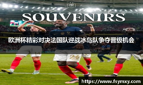 欧洲杯精彩对决法国队迎战冰岛队争夺晋级机会